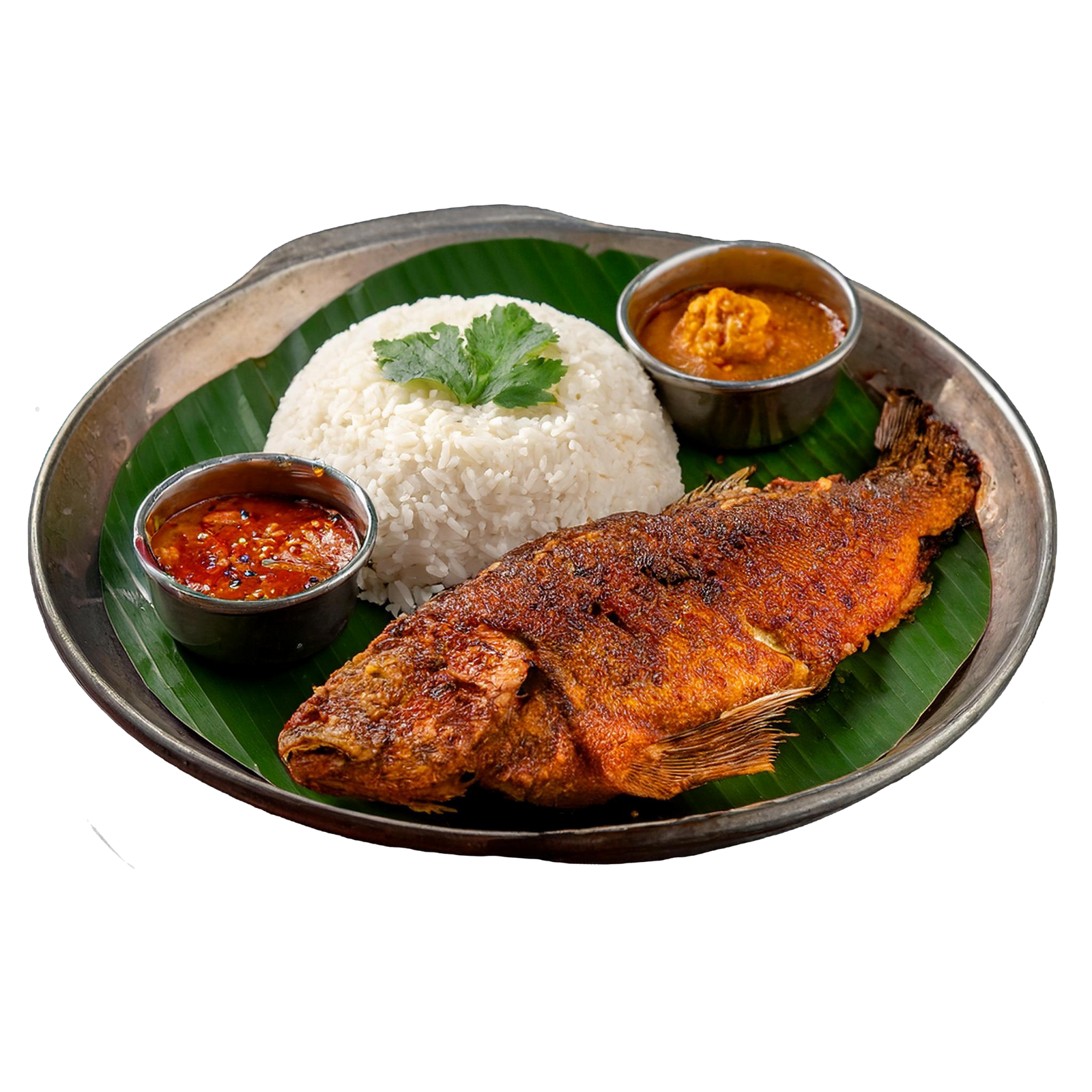Fish Meals Near Me