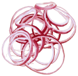 png-clipart-red-onion-rings-illustration-pizza-onion-ring-sushi-shallot-hamburger-vegetables-onion-food-onion-thumbnail-removebg-preview